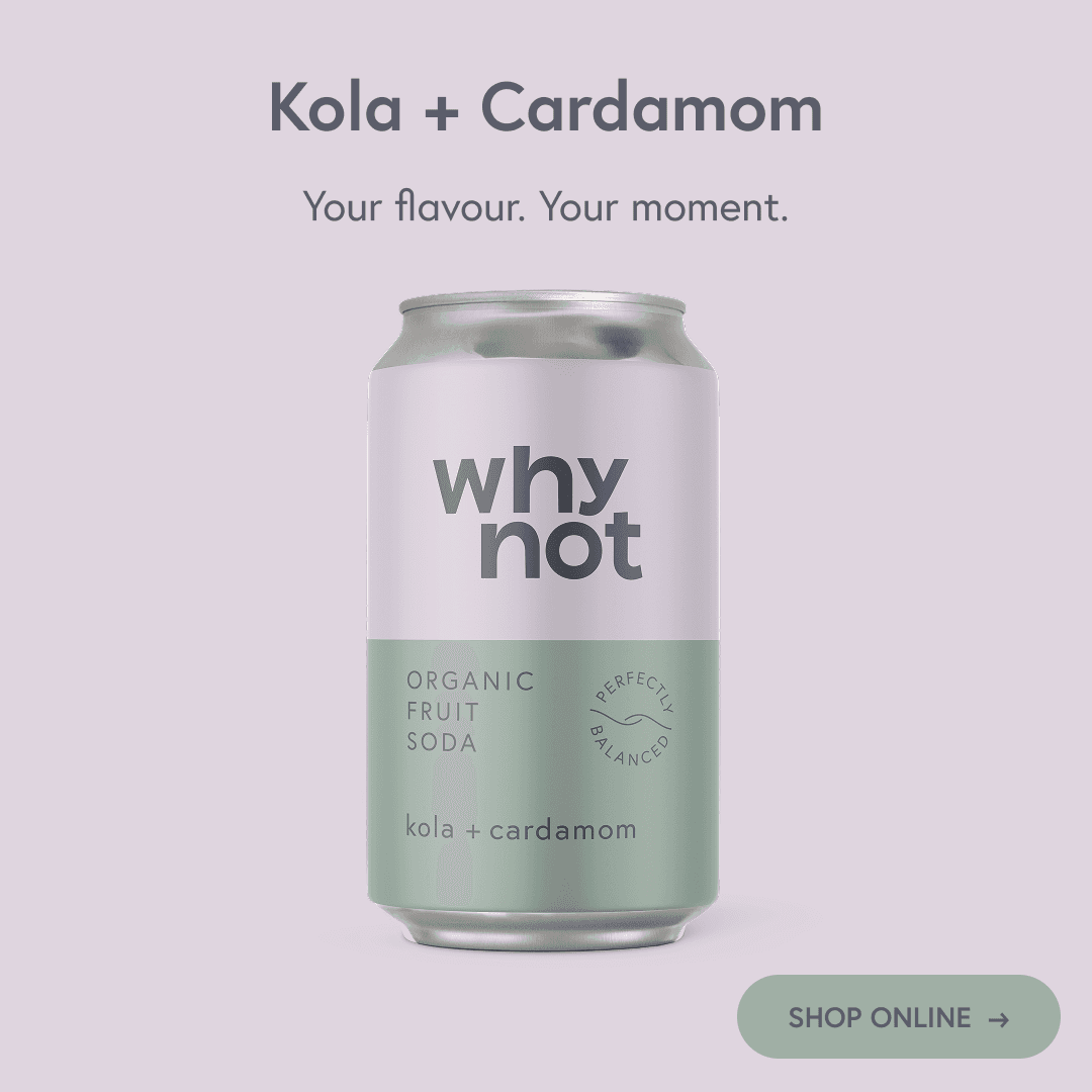 Why Not Soda project image 1
